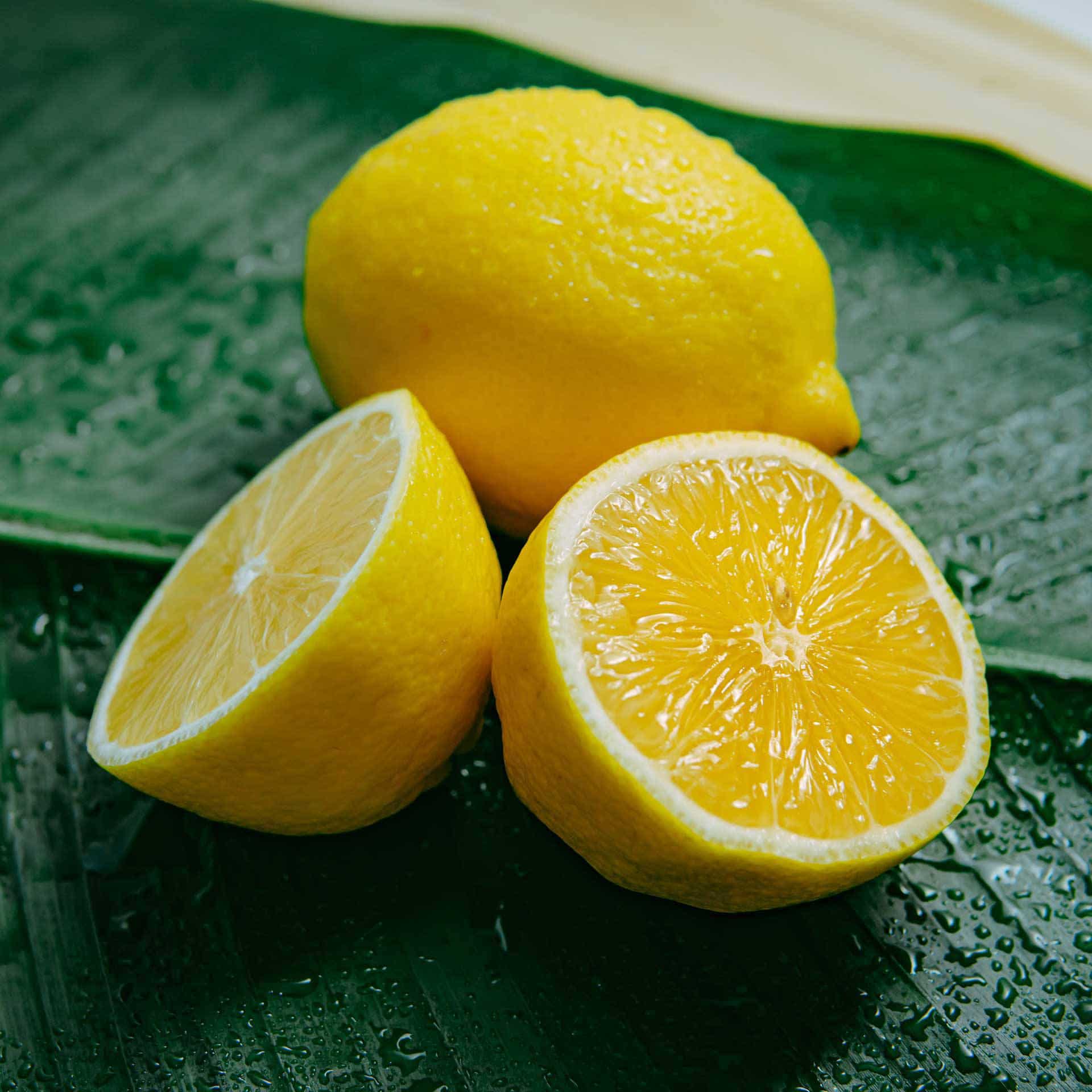 Sicilian Lemon